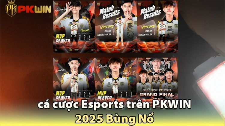 hướng dẫn cá cược esports pkwin 2025