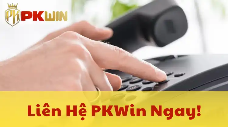 Liên hệ PKWin ngay hôm nay để nhận hỗ trợ nhanh chóng và chuyên nghiệp!