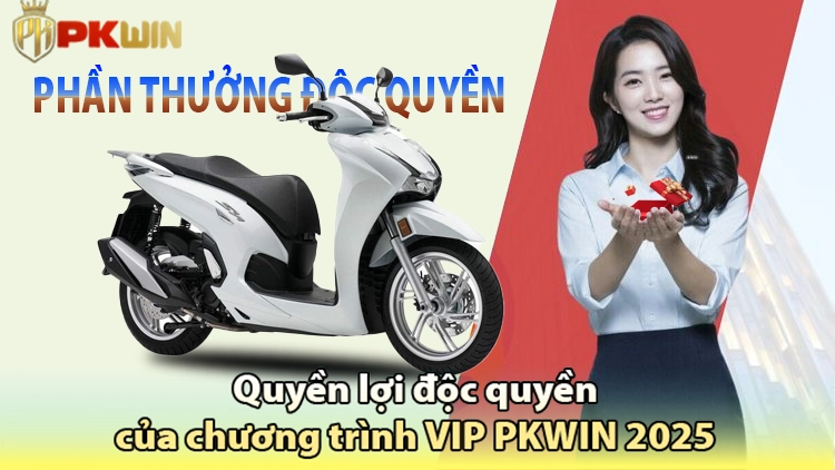 Minh họa quyền lợi chương trình VIP PKWIN 2025