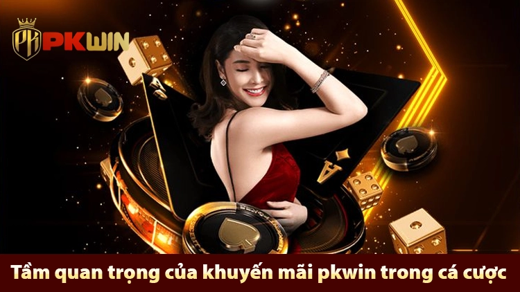 khuyến mãi pkwin quan trọng như thế nào?