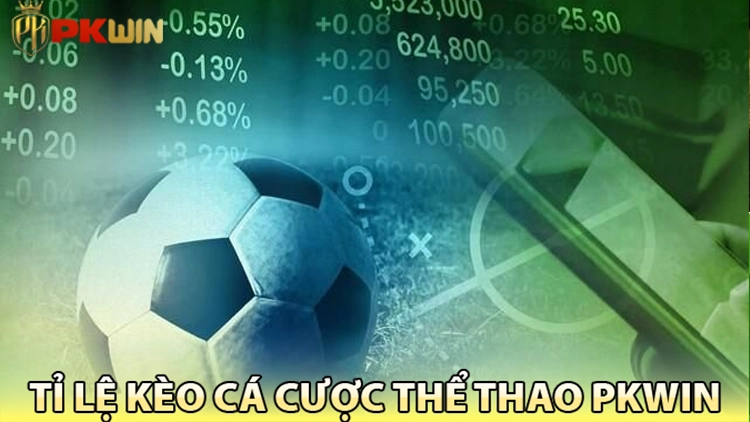 Minh họa tính tỷ lệ kèo cá cược thể thao PKWIN 2025