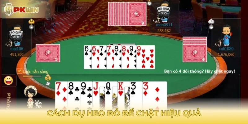 Mẹo dụ heo đỏ để chặt thành công